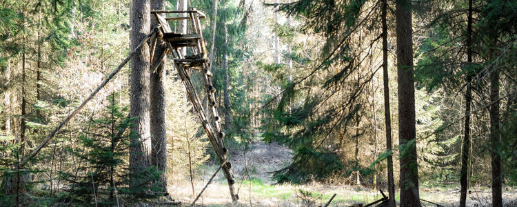 World Famous Sports Hunting Blind