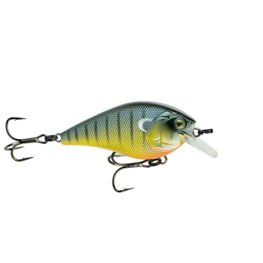 6th Sense Crush 100X Square Bill Crankbait-Backwater Bluegill for fishing