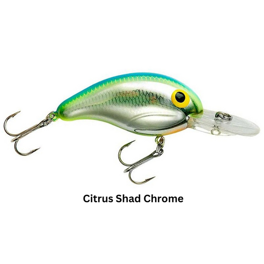 Bandit 200 Series Crankbait - Citrus Shad Chrome