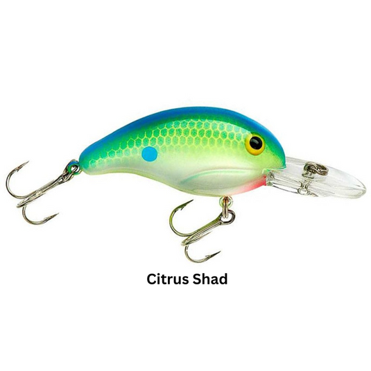 Bandit 200 Series Crankbait - Citrus Shad