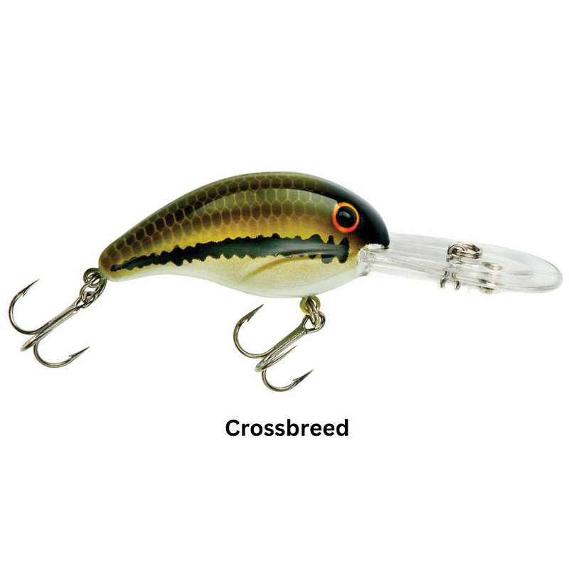 Load image into Gallery viewer, Bandit Lures 200 Series Diving Crankbaits - Southern Reel Outfitters
