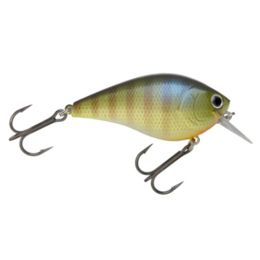 Lucky Craft LC 2.5 Silent Squarebill Crankbaits - BE Gill