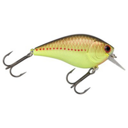 Lucky Craft LC 2.5 Silent Squarebill Crankbaits - Copper Perch