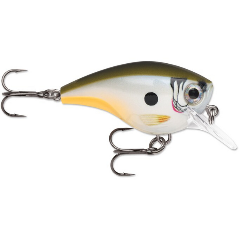 Load image into Gallery viewer, Rapala Balsa Xtreme BX Brat 06 Crankbaits - Change Up
