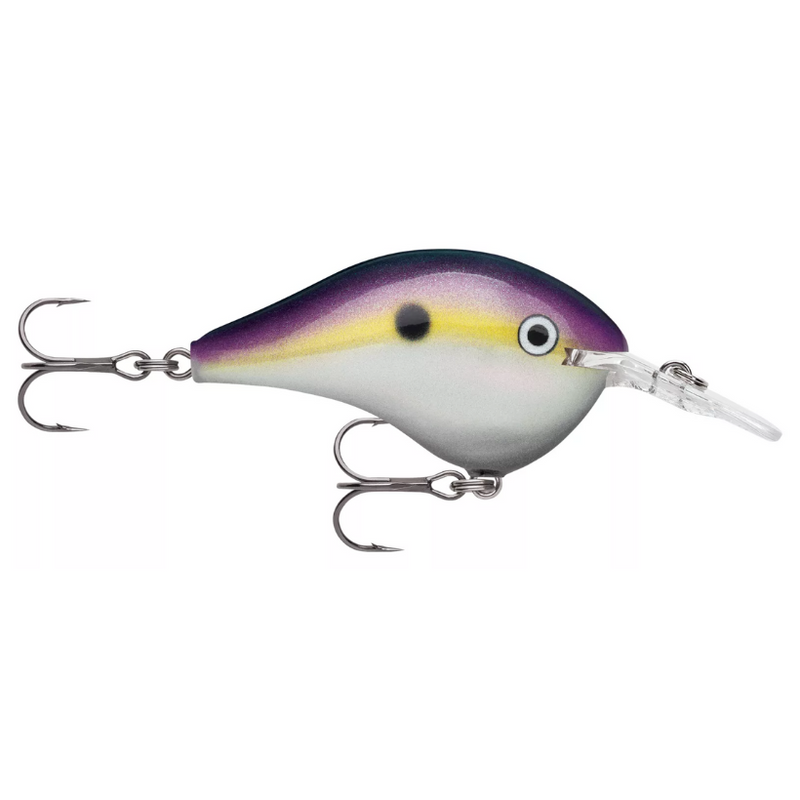 Load image into Gallery viewer, Rapala DT Series Crankbaits - Big Shad
