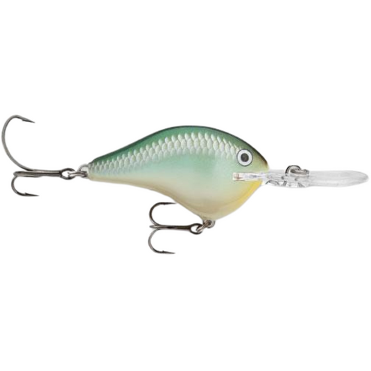 Rapala DT Series Crankbaits - Blue Back Herring