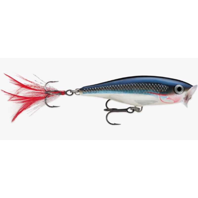 Load image into Gallery viewer, Rapala Skitter Pop 5 Topwater Baits - Shad
