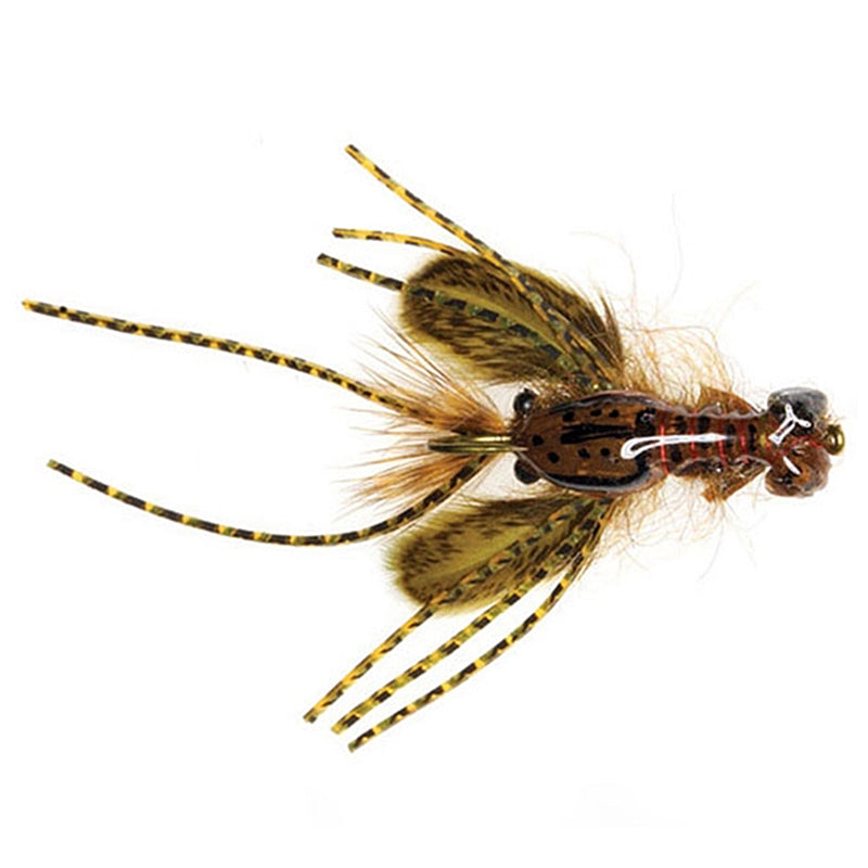 Load image into Gallery viewer, Umpqua Creek Crawler Flies - Olive
