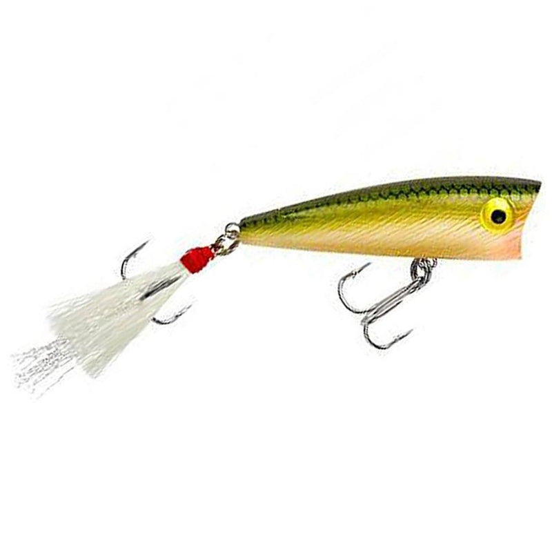 Load image into Gallery viewer, Rebel Original Pop-R Topwater Lure - Southern Reel Outfitters
