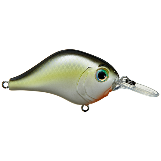 Bill Lewis MR-6 Crankbaits Louisiana Shad