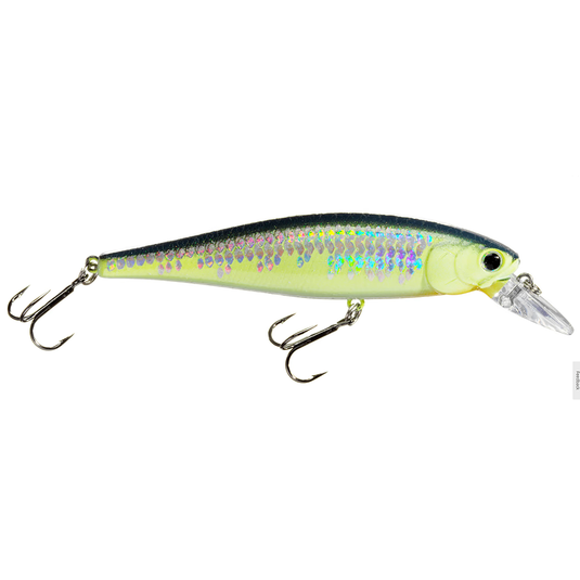 Lucky Craft Pointer 100 Jerk Baits - Southern Reel Outfitters