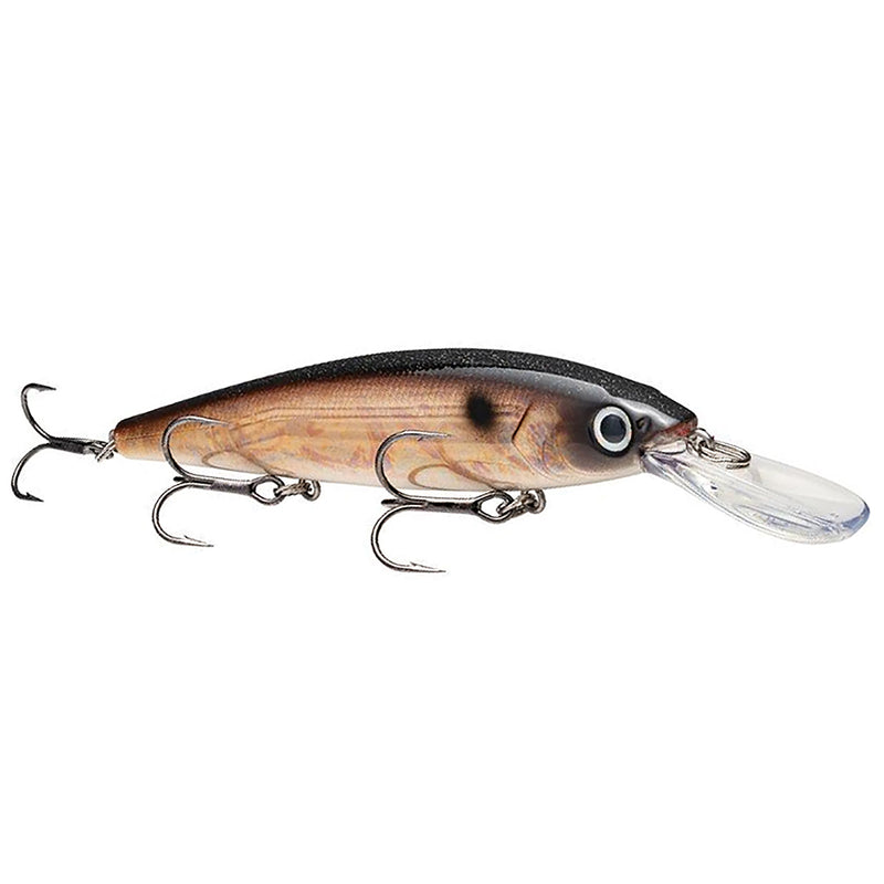 Load image into Gallery viewer, Strike King Kvd J300 D Jerkbaits
