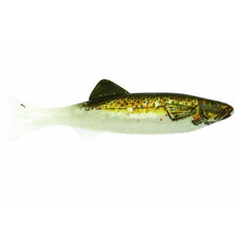 Load image into Gallery viewer, Renosky Keystone Minnow Jigs Brown Trout
