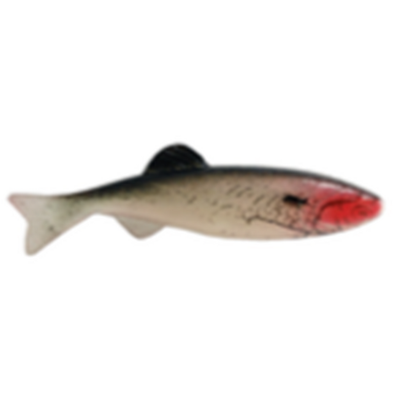 Load image into Gallery viewer, Renosky Keystone Minnow Jigs Shad
