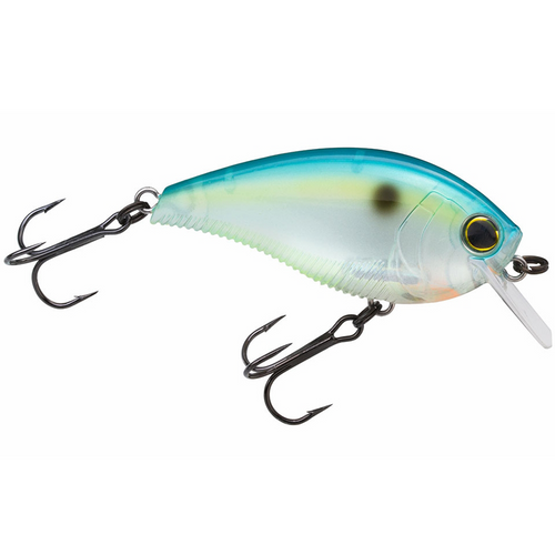 Yo-Zuri 3DB Series Squarebill 1.5 Crankbaits - Citrus Shad