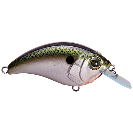 Bill Lewis SB-57 Squarebill Crankbaits Tennessee Shad