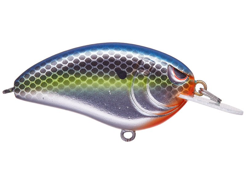 Load image into Gallery viewer, Spro Little John 50 Crankbaits
