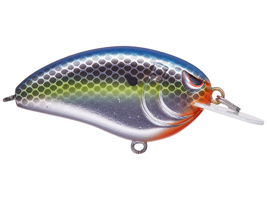 SPRO Little John 50 Crankbaits